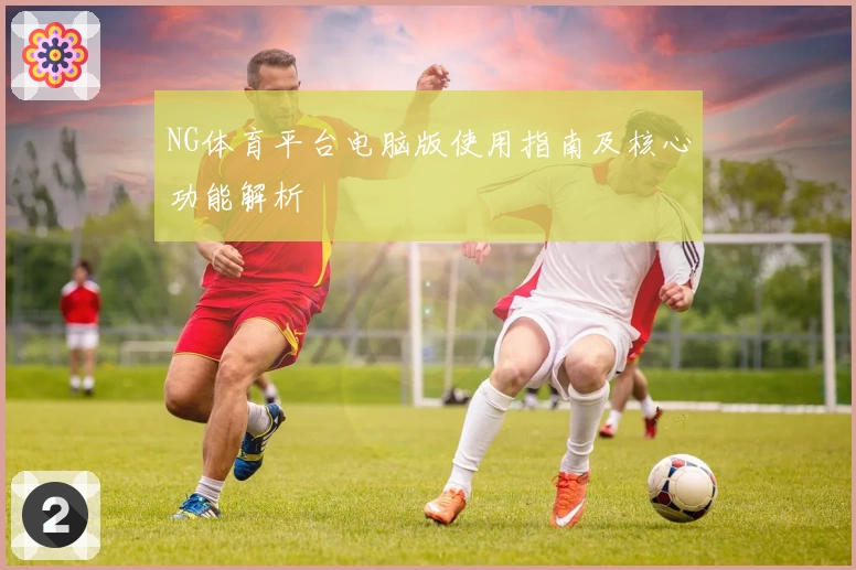 NG体育平台电脑版使用指南及核心功能解析