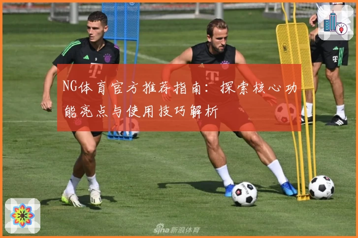 NG体育官方推荐指南：探索核心功能亮点与使用技巧解析