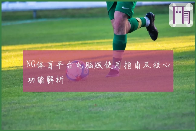 NG体育平台电脑版使用指南及核心功能解析