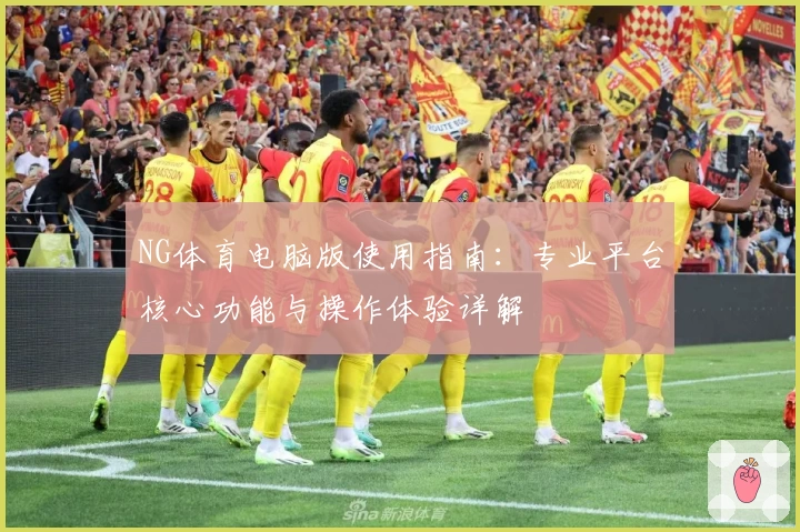 NG体育电脑版使用指南：专业平台核心功能与操作体验详解